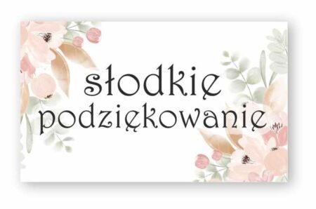 dec02ede6e7f9d4cf5cc70991a9aad48